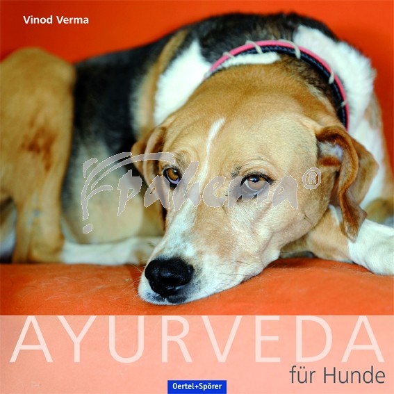 Produktbild: Ayurveda für Hunde