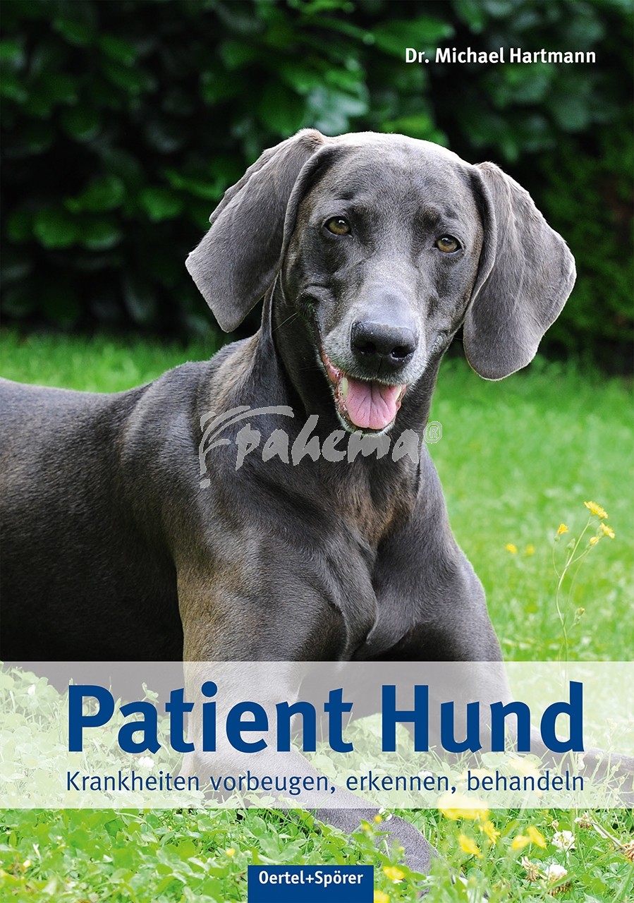 Produktbild: Patient Hund